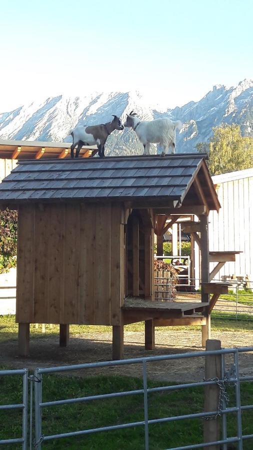 Apartmán Zweimaederlhaus Bad Mitterndorf Exteriér fotografie