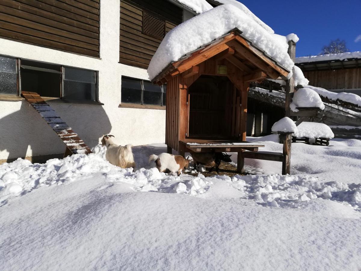 Apartmán Zweimaederlhaus Bad Mitterndorf Exteriér fotografie